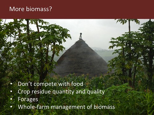 Slide 18: More biomass?