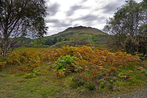 autumn scotland highlands remote bracken lochmorar