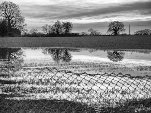 trees winter sunset blackandwhite bw reflection wet water monochrome field clouds fence flood chainlink micro43 fencefriday panasoniclumixg2 maggsmep