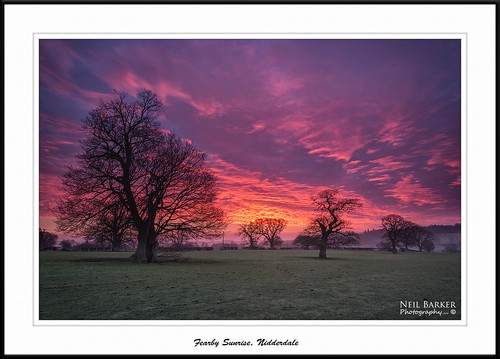 trees mist sunrise nikon frost yorkshire northyorkshire nidderdale yorkshiredales fearby neilbarkerphotography