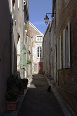 Cat in the side street - Photo of Arconcey
