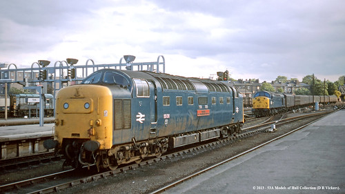 york train diesel railway britishrail deltic class55 class40 55011 parcelstrain theroyalnorthumberlandfusiliers