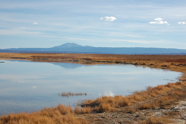 Laguna Cejar, San Pedro de Atacama