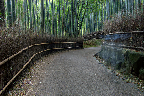 halloween japan kyoto ghost bamboo arashiyama 嵐山 japon 京都市 japonya