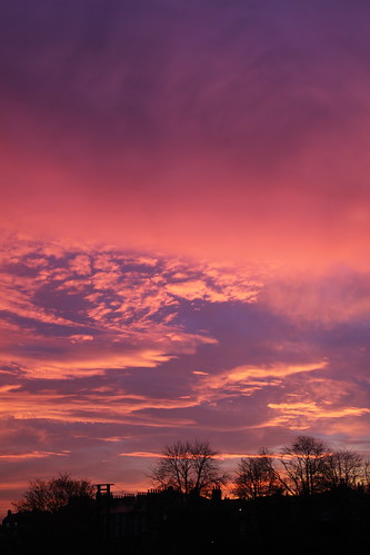 york morning sky tree clouds sunrise dawn sillhouette redskyinthemorning