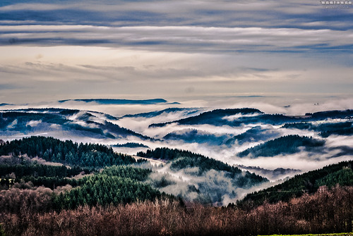 winter mist fog clouds forest germany landscape outdoor hunsrück