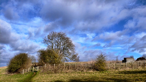 uk greatbritain trees winter england field grass clouds fence countryside europe unitedkingdom shed eu sunny bluesky lincolnshire ridge gb february bushes 2014 bracebridgeheath vikingway