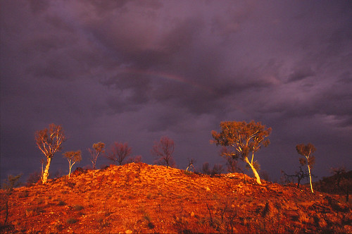trees storm weather landscape rainbow alicesprings ghostgum