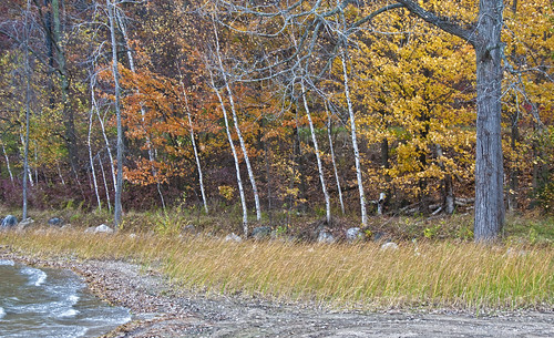 ontario river tracks autumncolours easternontario
