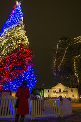 Christmas Tree & The Alamo #Flickr12Days