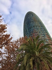 Discovering Barcelona - Torre Agbar