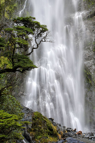 devils punchbowl waterfall falls new zealand newzealand pacific island green tree arthurs pass national park south arthurspass long exposure
