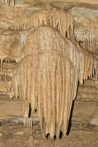 lyoncollege speleology caves caving biology ozarkundergourndlaboratory protem missouri tumblingcreekcave