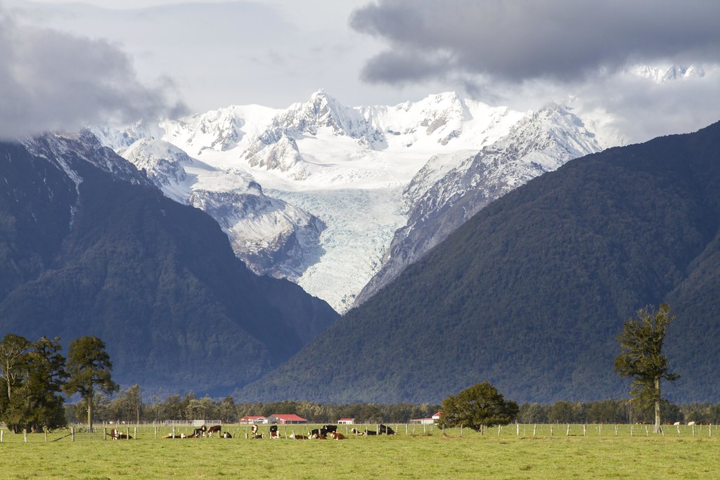 7 Tips for Travelling New Zealand on a Budget