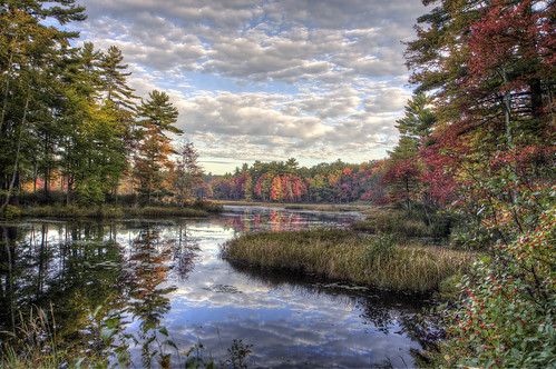 autumn trees lake color fall water america canon outside outdoors maple woods newengland newhampshire overcast bluesky nh hdr highdynamicrange 1755 photomatix 50d hdrsoft canon50d