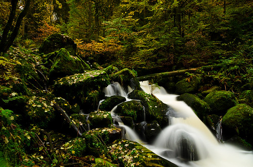 autumn nature water leaves creek forest river nikon wasser laub herbst natur sigma bach fluss wald blätter lonexposure langzeitbelichtung d5100 1770c