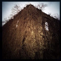 Old Building - Sycamore Grove