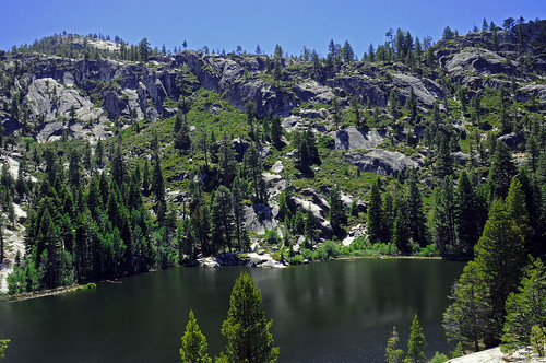 california camping trees mountain lake forest landscape fishing sierras sierranevada highsierra wardlake