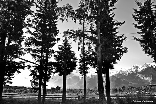 trees blackandwhite mountain snow landscape greece rails ελλάδα δέντρα τοπίο βουνό blackwhitephotos χιόνια tithorea greekrailways σιδηρόδρομοσ ράγεσ τιθορέα μαυρόασπρεσ