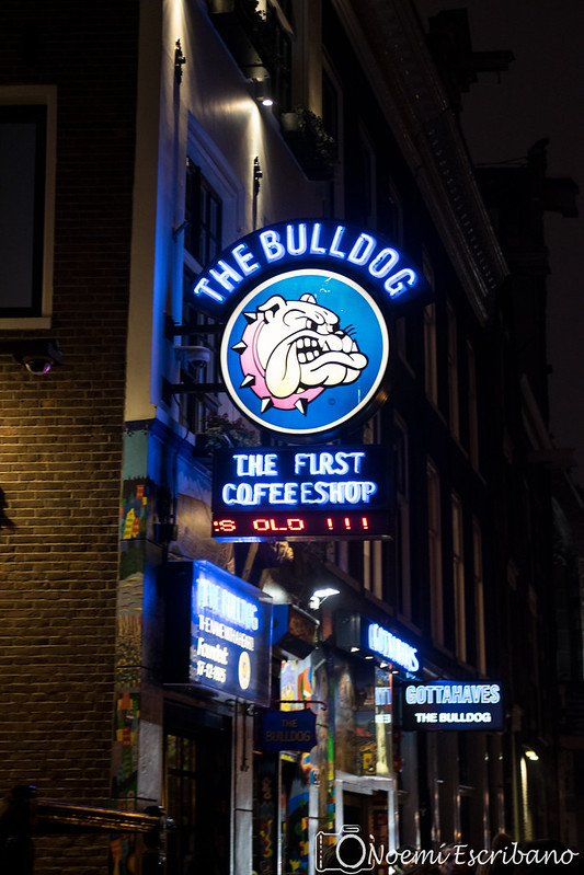 The Bulldog - primer coffeeshop