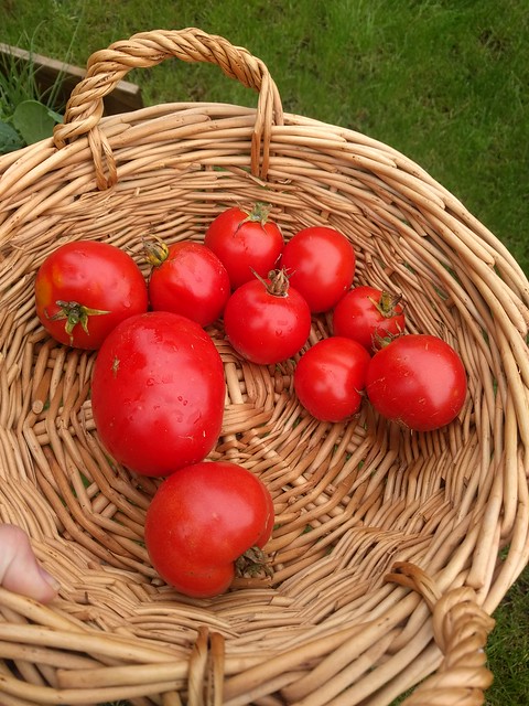 Image of beefsteak tomato