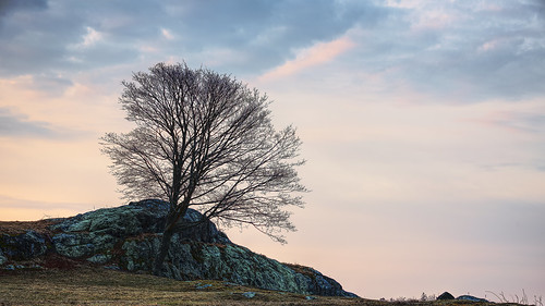 sky rocks landscape tree dawn hill outdoor