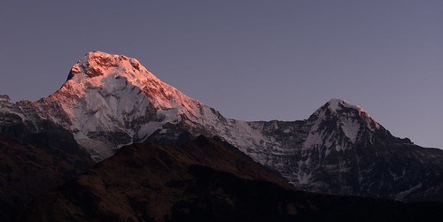 pink nepal mountain snow sunrise purple himalaya annapurna himalayas