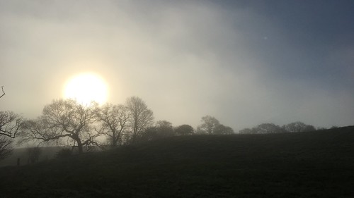 sunshine fields haighton trees tree mist sunrise iphone landscape preston