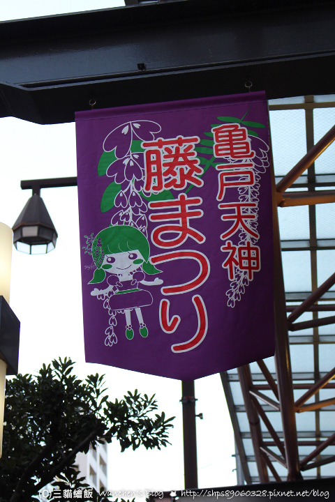 龜戶天神社紫藤祭