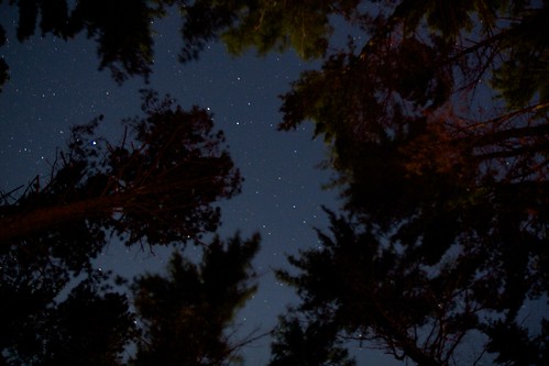 camping trees wisconsin stars northernhighlandamericanlegionstateforest crystalmuskiecampground