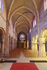 Cathédrale de Saint-Dié-des-Vosges