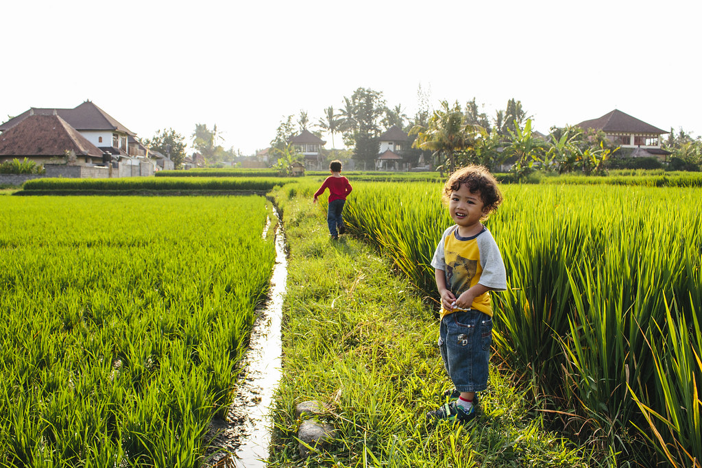 Children Photography | TPenestanan Rice Field | Ubud | Bali | Indonesia