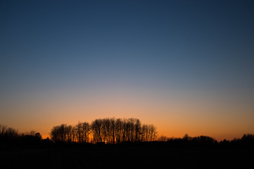 sunset negativespace atartdecer puestadelsol color countryside trees silhouette michigan mid orange sky country canoneos5dmarkiv ef24105mmf4lisusm