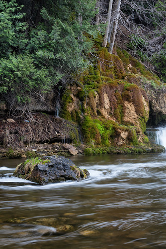 belfountain conservation area trimble side trail hiking nature landscape river ontario caledon canada ca