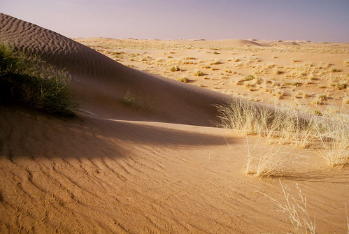 asia desert yemen rubalkhali