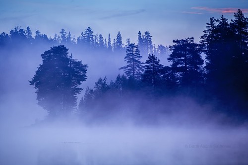 morning travel blue trees mist lake tree nature water colors norway horizontal misty fog forest canon landscape outdoors photography daylight norge woods colorful day colours view natural natur foggy earlymorning peaceful nopeople skog getty traveling dis vann tåke morningmist mists drammen trær colorimage buskerud drammensmarka nedreeiker photographying morgendis taake canon5dmarkii skodd skogsvann canonef70200f28lisiiusm vrangla