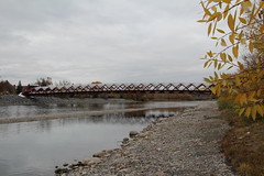 The peace bridge Calgary