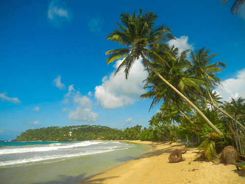 beach paradise palmtree tropical srilanka coconuttree mirissa