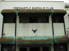 Buffalo Club