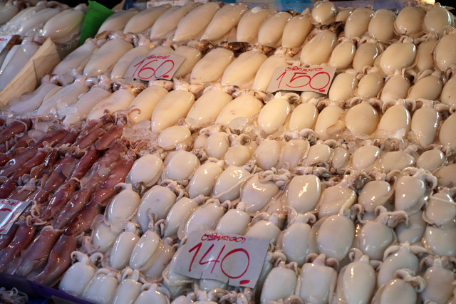 Squid at the market