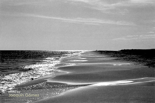 sea bw film beach water reflections coast spain sand mediterranean waves dune shoreline delta catalonia pentaxk1000 ebro litoral tarragona deltadelebre breathtakinglandscapes