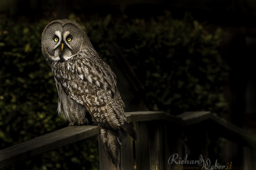 Look out.. by Rizzoweb
