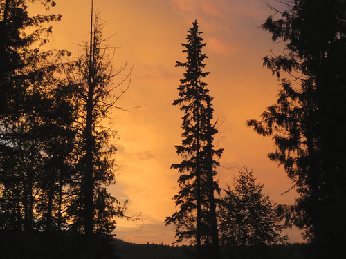 sunset orange canada evening bc dusk britishcolumbia orangesky coniferous cariboo westerncanada earlydusk coniferoustrees canadianwest centralinterior cariboomountais