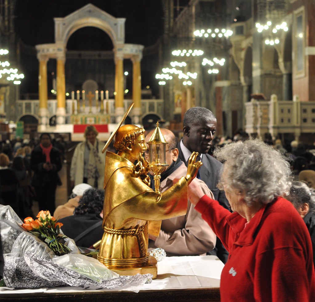 Mass in the presence of  the Relics of St Anthony of Padua - homily - Diocese of Westminster