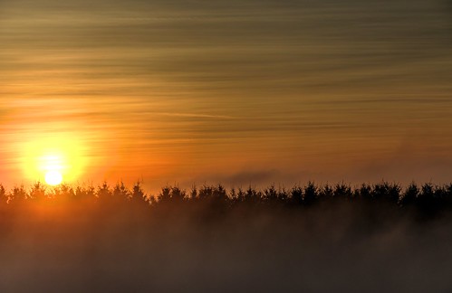 winter sunset fog sonnenuntergang nebel hdr saarland mettlach weiten nadelbäume