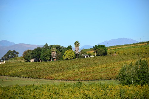 africa march vineyard view south western cape uitzicht friday 1798 robertson 2014 klaasvoogds fraai mar2014 28mar2014