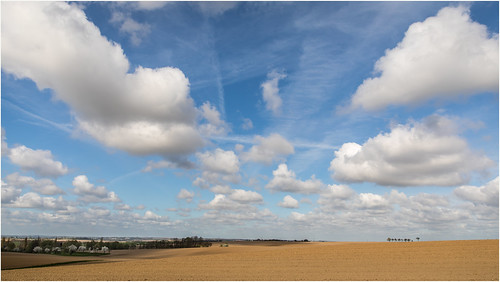 sachsen deutschland germany saxony landscape landschaft baum tree windmill clouds bluesky wiese meadow wolken bewölkt cloudy canoneos5dmarkiv ef2470f28liiusm