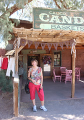 Diane at the Calico Candy Shop