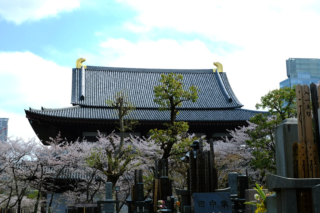 Peeking at the Zojoji Temple