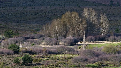 landscape spain sierra culebra